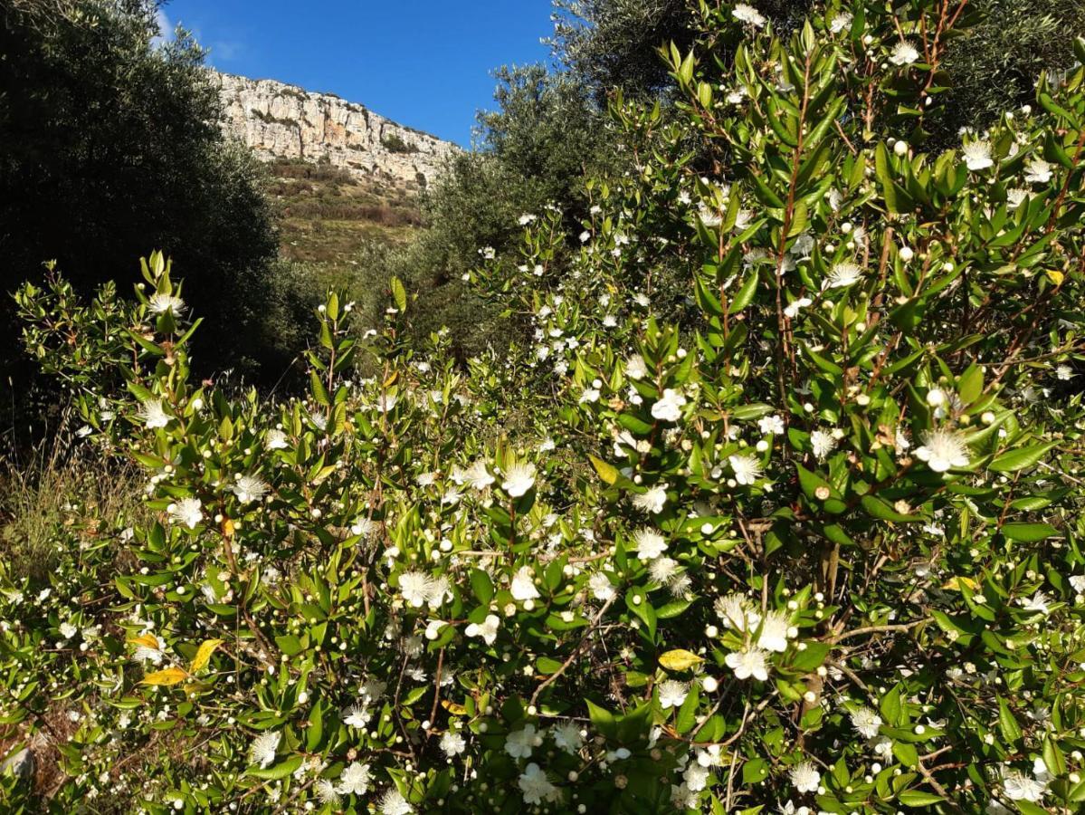 Apartmán A Casa Di Carla Terracina Exteriér fotografie
