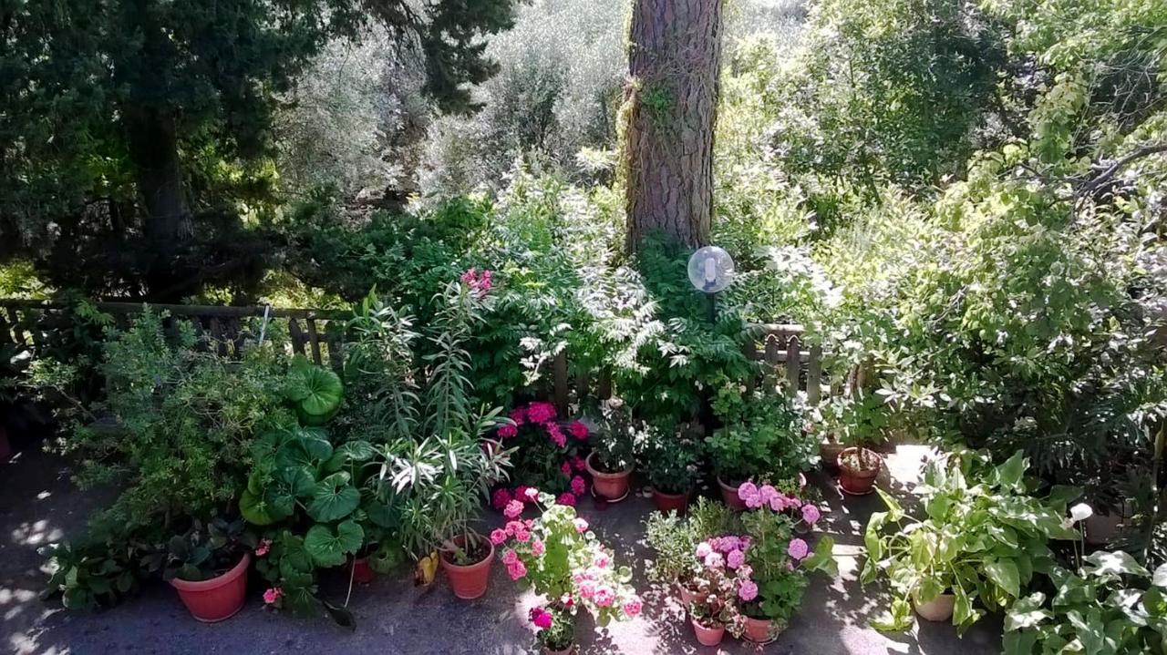 Apartmán A Casa Di Carla Terracina Exteriér fotografie